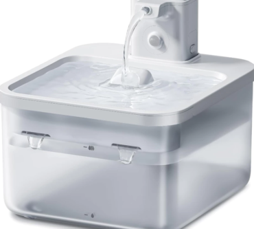 cn-11134207-7ras8-m2ukxp7pe1g3f3-790x790