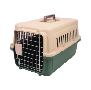 th-11134207-7r98p-lvlcd3bqqxuqa5-890x890