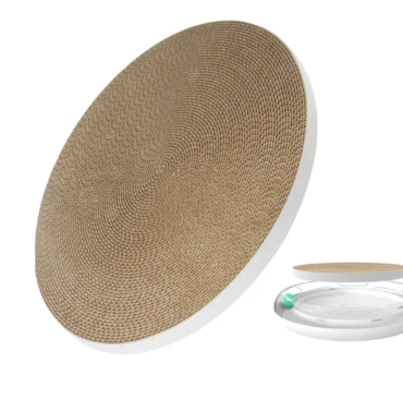 th-11134207-7r98r-ly7ugjoej5ohc6-e1736697878880-770x770