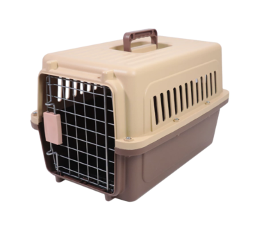 th-11134207-7r98t-lvlcd3bqscf679-890x890