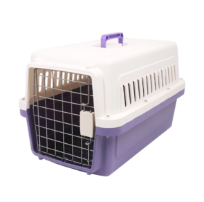 th-11134207-7r98u-lxqqfnlfjkq8e0-890x890