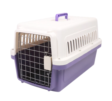 th-11134207-7r98u-lxqqfnlfjkq8e0-890x890