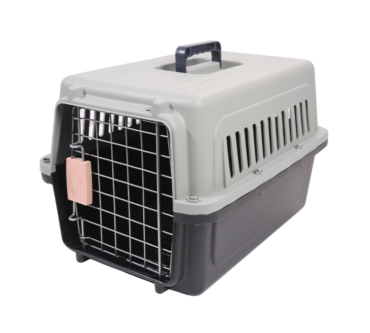 th-11134207-7r98v-lvlcje9obzc6c2-890x890