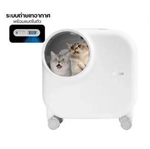 th-11134207-7r98w-lxj7c7xgr7hs05-e1736751218908-770x770