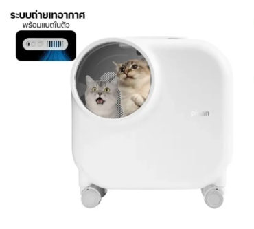 th-11134207-7r98w-lxj7c7xgr7hs05-e1736751218908-770x770