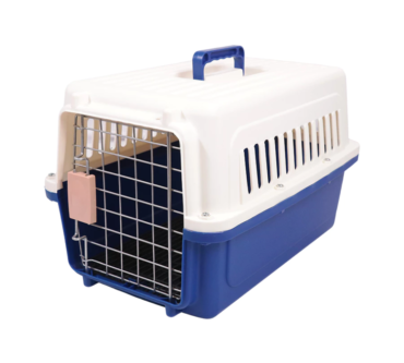 th-11134207-7r991-lvlcje9oakrq56-890x890