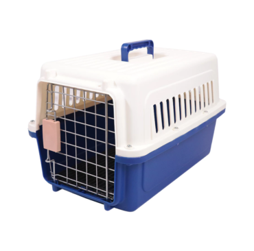 th-11134207-7r991-lvlcje9oakrq56-890x890