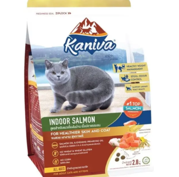 th-11134207-7r992-lpj7z7n4amz3af-e1736766680198