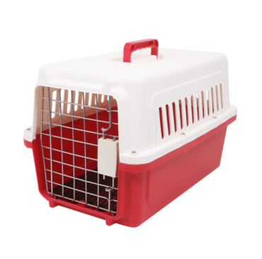 th-11134207-7r992-lxqqfiskkjao2f-890x890